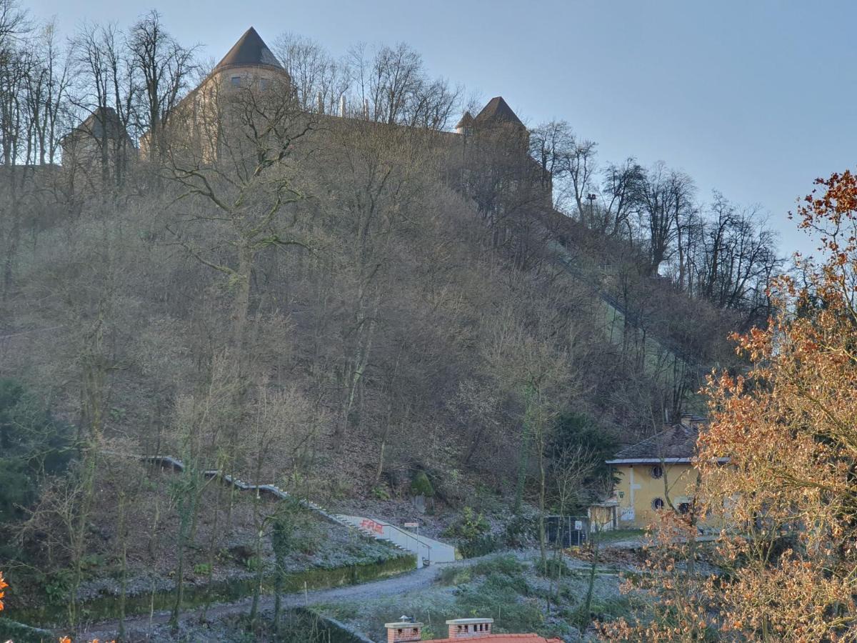 Bossa Nova Castle&Outstanding Home With Garage Ljubljana Bagian luar foto